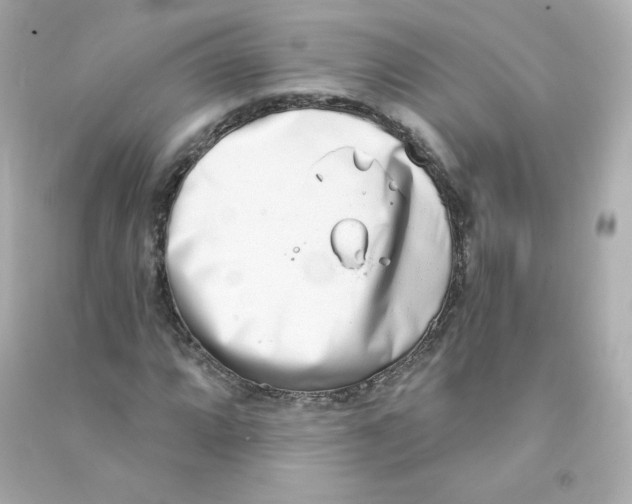 X0000090421064200708101937