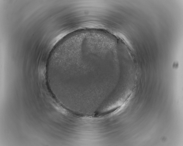 X0000090421065200708101937