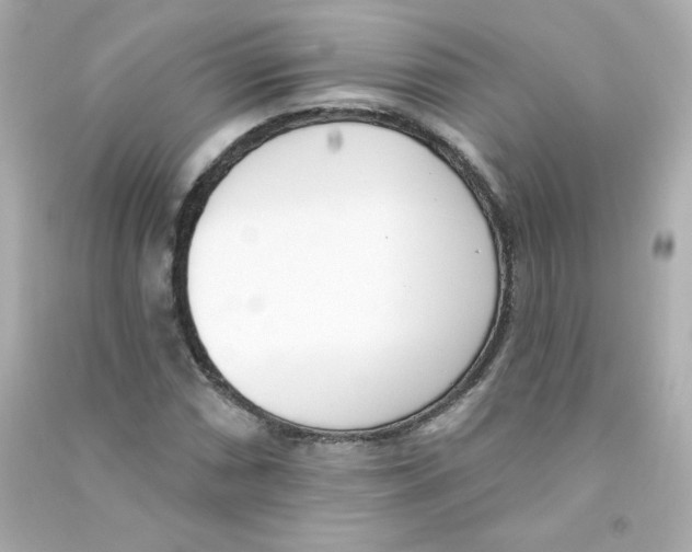 X0000090421066200708101937