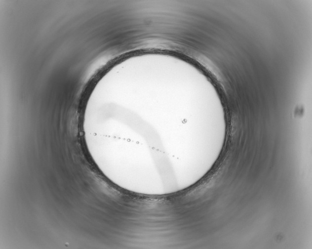 X0000090421067200708101937