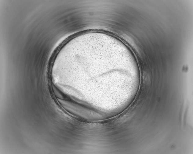 X0000090421068200708101937