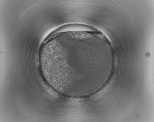 X0000090421069200708101937