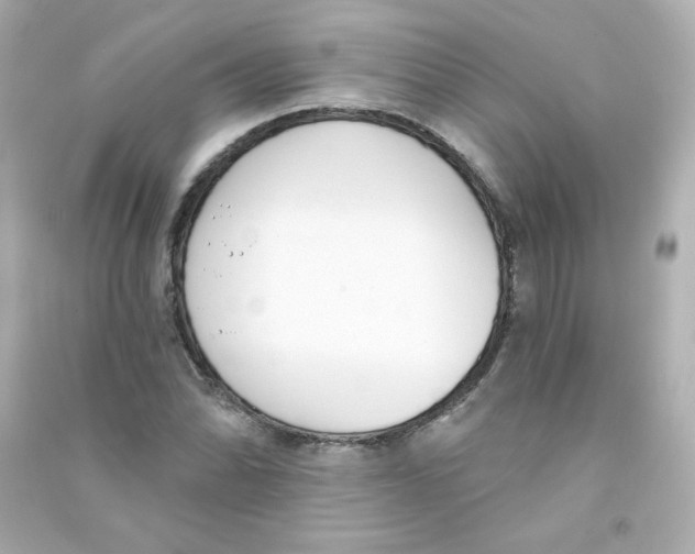 X0000090421070200708101937