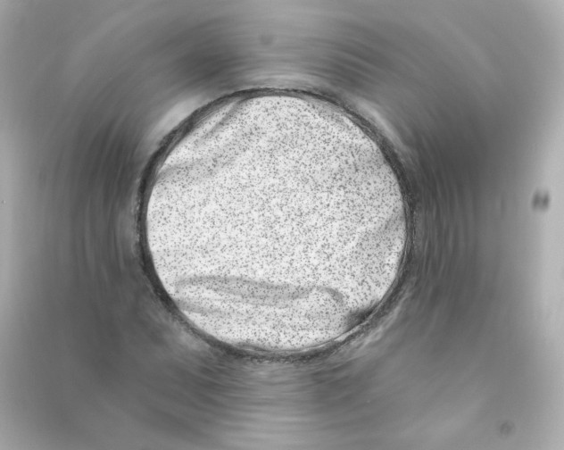 X0000090421071200708101937