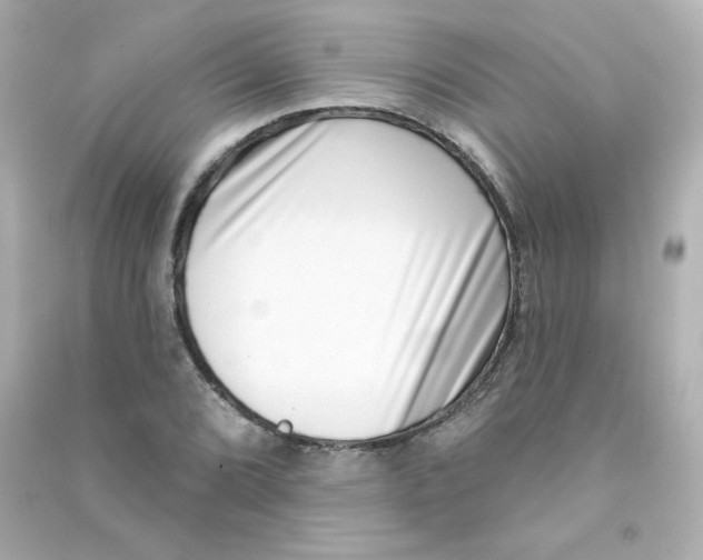 X0000090421072200708101937