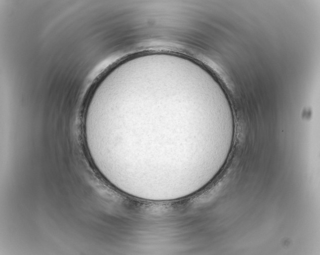 X0000090421074200708101937