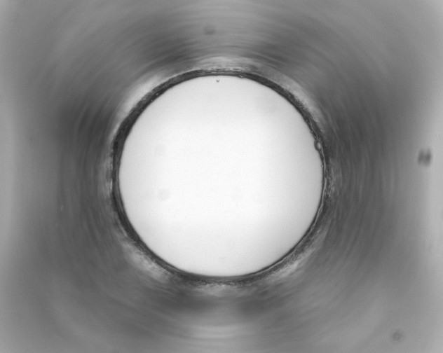X0000090421075200708101937