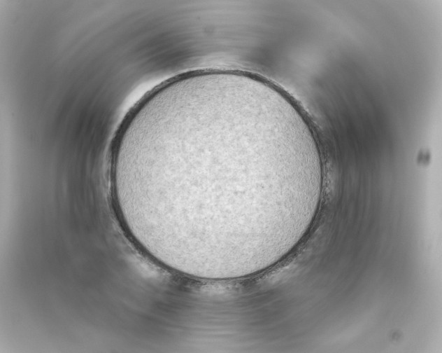 X0000090421078200708101937