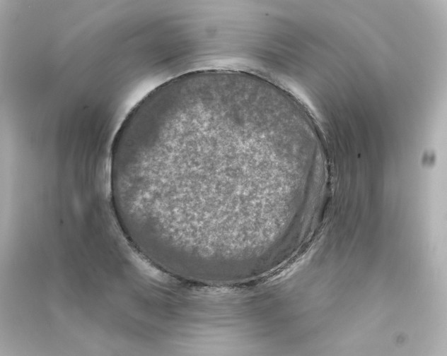 X0000090421079200708101937