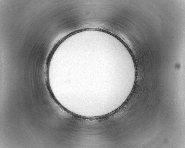 X0000090421080200708101937