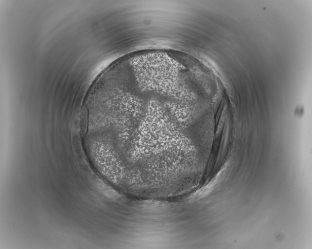 X0000090421081200708101937