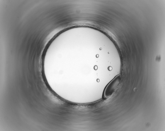 X0000090421082200708101937