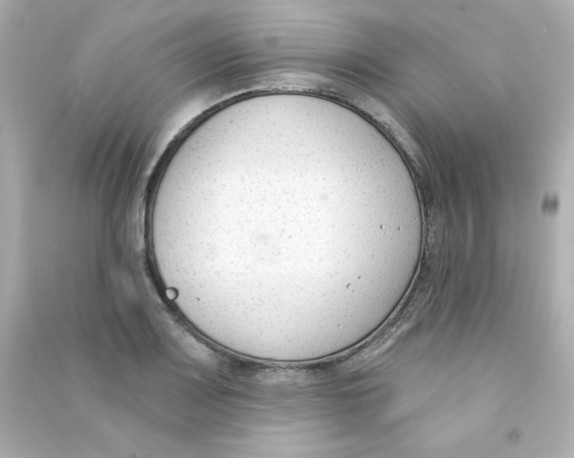 X0000090421083200708101937
