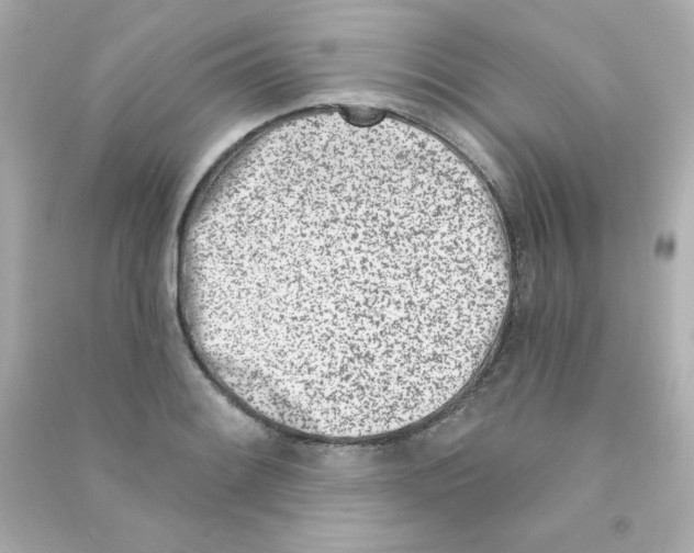 X0000090421084200708101937