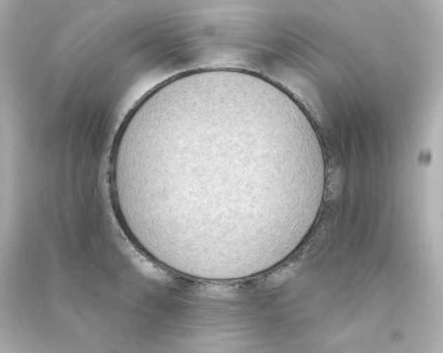 X0000090421086200708101937