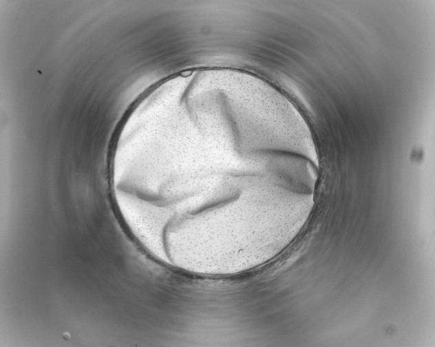 X0000090421087200708101937