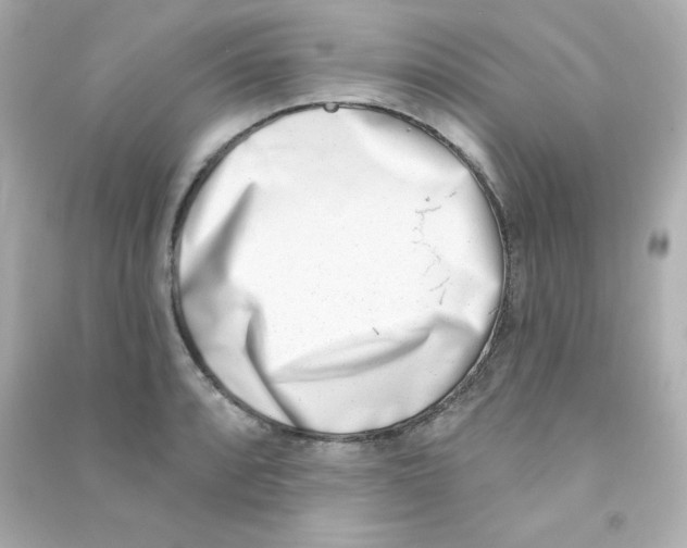 X0000090421088200708101937