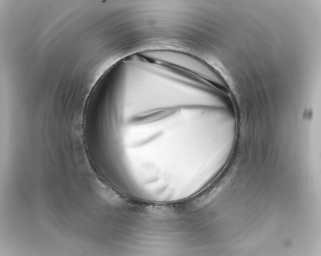 X0000090421089200708101937