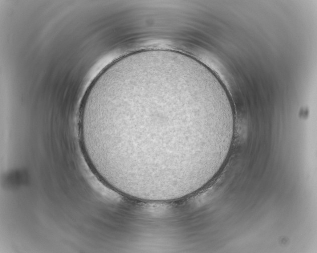 X0000090421090200708101937