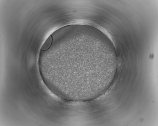 X0000090421091200708101937