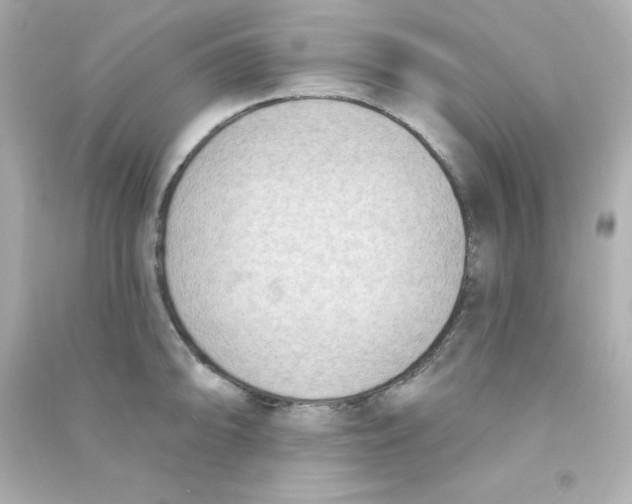 X0000090421094200708101937