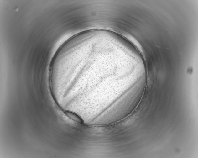 X0000090421096200708101937