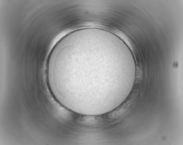 X0000090421098200708101937