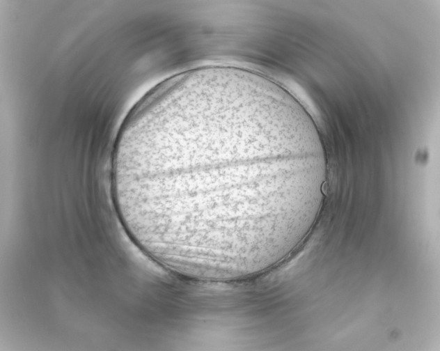 X0000090421100200708101937
