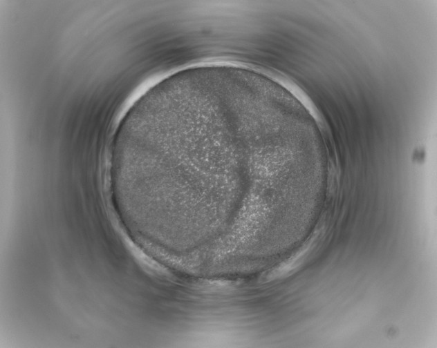 X0000090421101200708101937