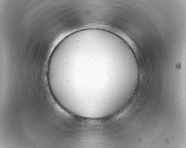 X0000090421102200708101937