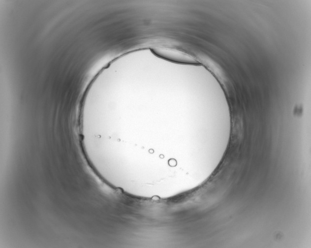 X0000090421103200708101937