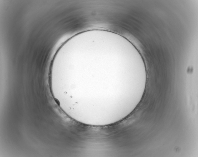 X0000090421104200708101937