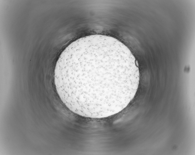 X0000090421105200708101936