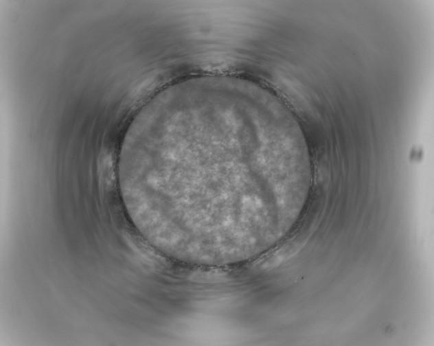 X0000090421106200708101936