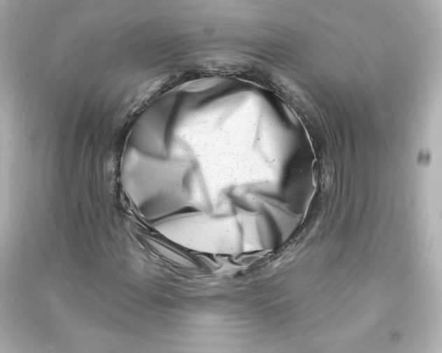 X0000090421108200708101936