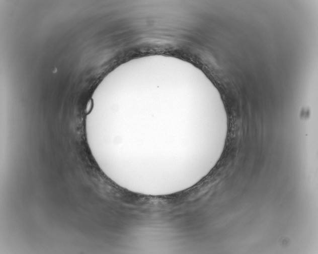 X0000090421109200708101936