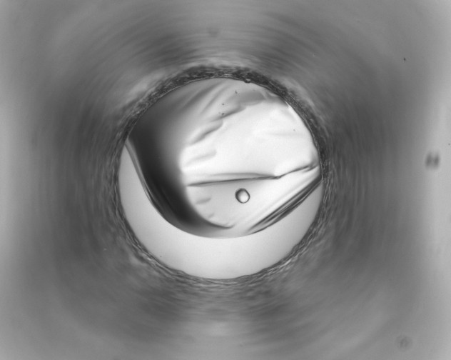 X0000090421110200708101936