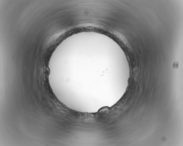 X0000090421111200708101936