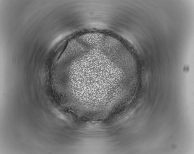 X0000090421112200708101936