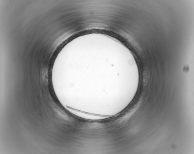 X0000090421113200708101936