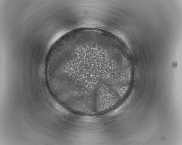 X0000090421114200708101936