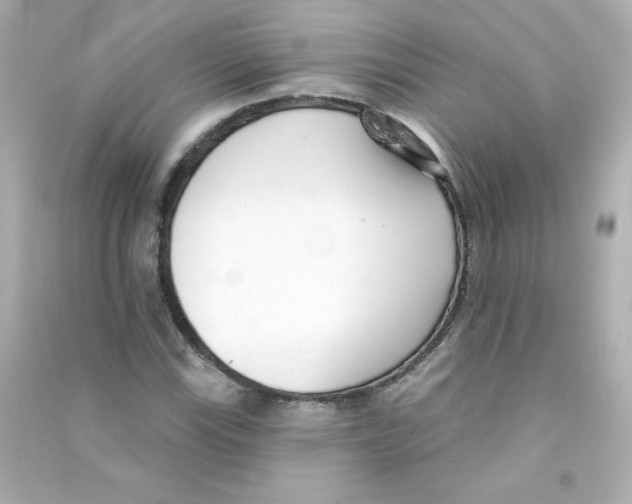 X0000090421115200708101936