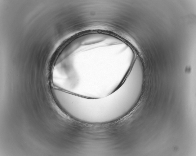 X0000090421116200708101936