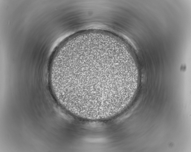 X0000090421117200708101936