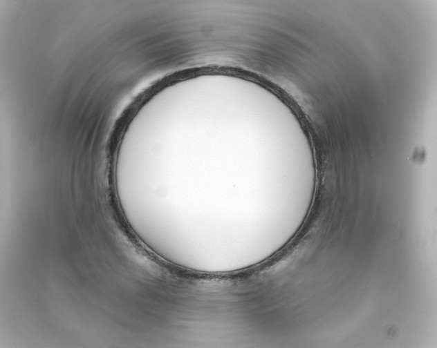 X0000090421118200708101936