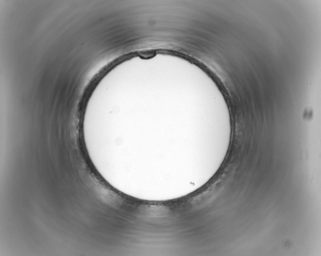 X0000090421119200708101936