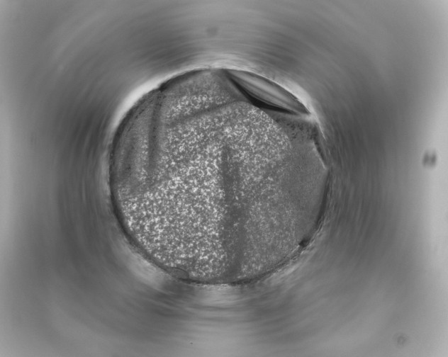 X0000090421120200708101936