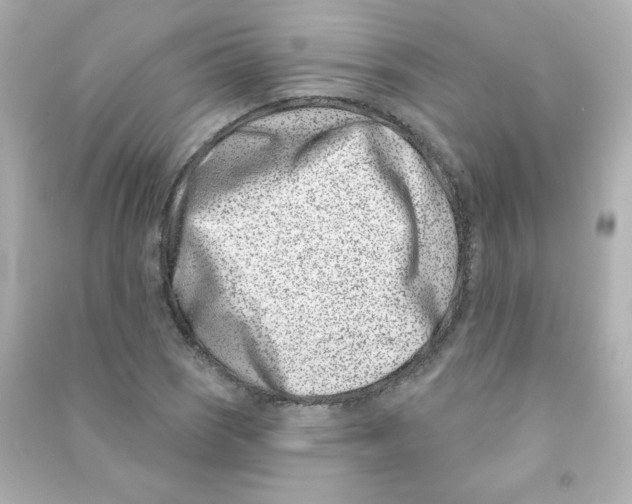 X0000090421121200708101936