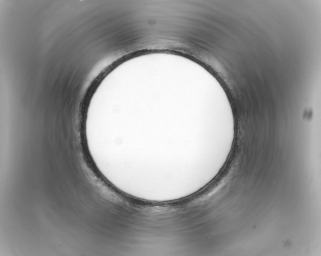 X0000090421122200708101936