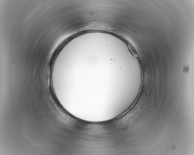 X0000090421123200708101936